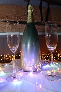 Nieuwjaarsparty (18)